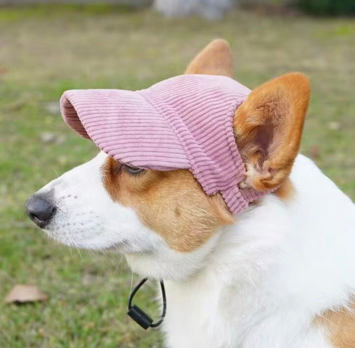 Doggiescap