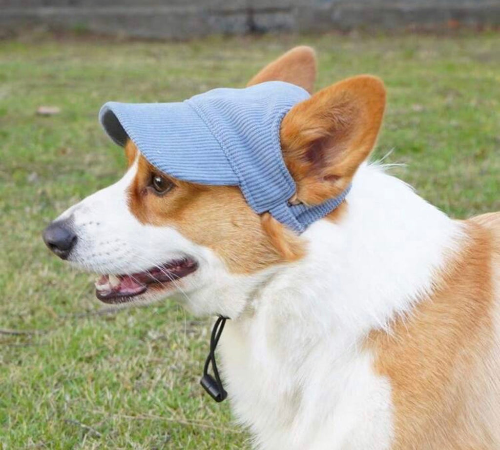 Doggiescap